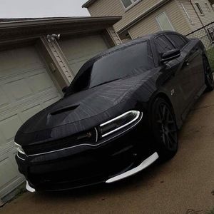 Meet your Posher, Ricky